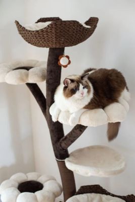Image showing  59 in. 6-Level Blossom Flower Design Large Cat Tree