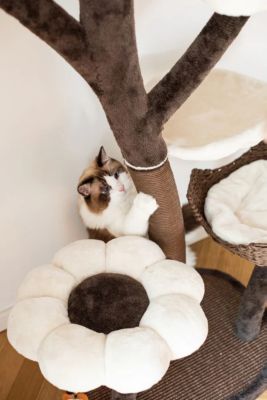 Image showing  59 in. 6-Level Blossom Flower Design Large Cat Tree