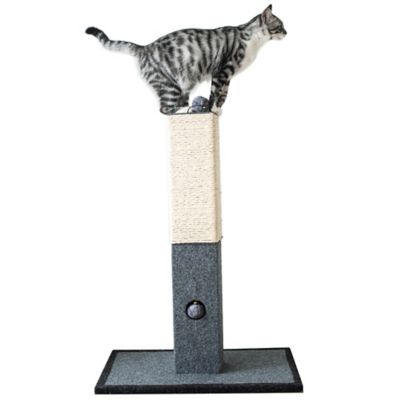 Catry 32 in. Natural Minimalist Cat Scratching Post with Natural Sisal Rope