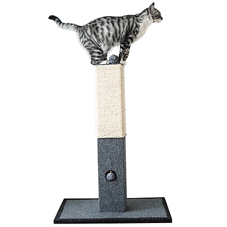 Catry 32 in. Natural Minimalist Cat Scratching Post with Natural Sisal Rope