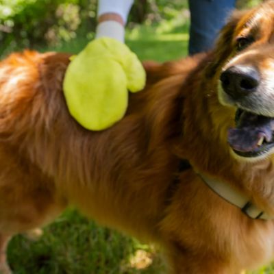 Image showing 7 th TiCK MiTT Chemical-Free Tick Removal Tool for People and Pets, Yellow