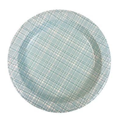 HaynesBesco Group 40 ct. Summer Paper Plates - Light Blue