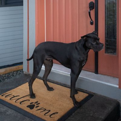 Image showing  Convertible Entrance Mat Rectangle Core Refill - Welcome & Paw