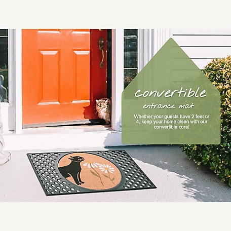 Outdoor Cat Dog Rectangular Door Mat Anti-Slip Carpet Front Door
