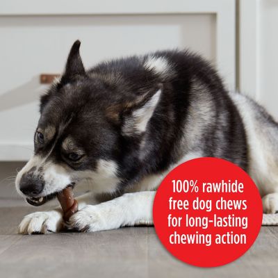 Image showing  Flavor Rolls Chicken Doodle Dandy Rawhide Free Dog Treats with Chicken, 5 ct.