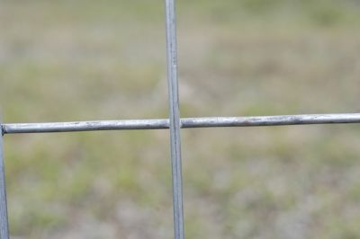 Image showing  100 ft. x 60 in. Welded Utility with 4 in. x 2 in. Mesh