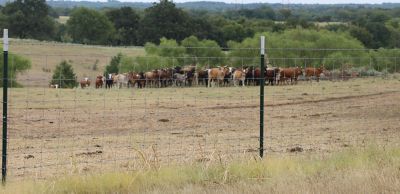 Image showing  330 ft. x 32 in. Class 1 Hinge Joint Field Fence