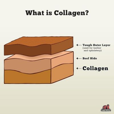 Image showing  Large Collagen Stick, 3 pk.