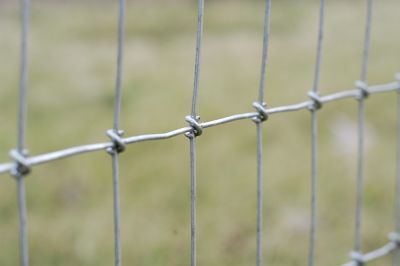 Image showing  100 ft. x 72 in. 12.5 Gauge Max Tight Square Knot Horse Fence