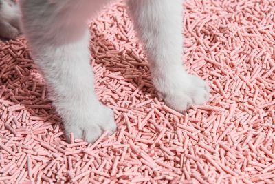 Image showing 6 th Michu Natural Clumping Tofu Cat Litter, Original, 5.5 lb.