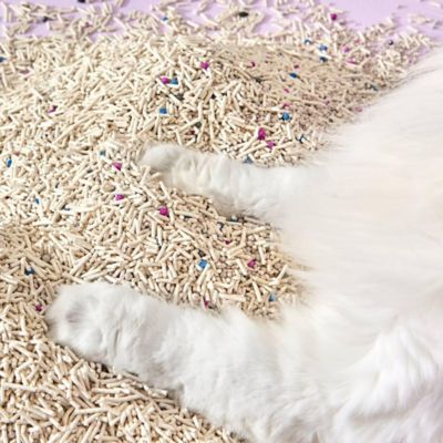 Image showing  Mixed Tofu Cat Litter - 5.5 lb.