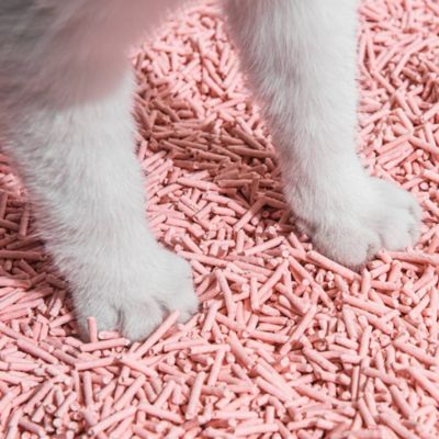 Image showing  Natural Clumping Tofu Cat Litter (Peach), 5.5 lb.