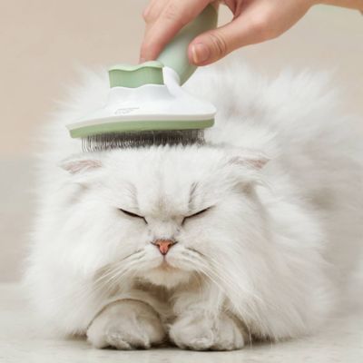 Image showing  Round Head Cream Pet Grooming Brush