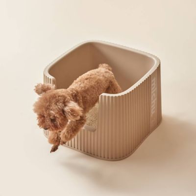 Image showing  Container Cat Litter Box with Scoop, BoBa, XXL