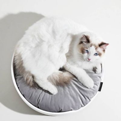 Image showing  Cat Litter Box Mat