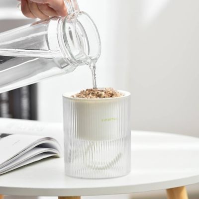 Image showing  All in One Soil Free Cat Grass Grow Kit