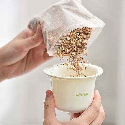 Image showing  Cat Grass Seed & Mulch Replacement Pack