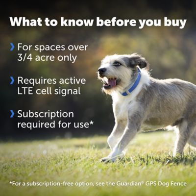 Image showing  3/4-Acre Guardian GPS + Tracking Dog Fence Collar, World's Most Reliable GPS Fence Technology