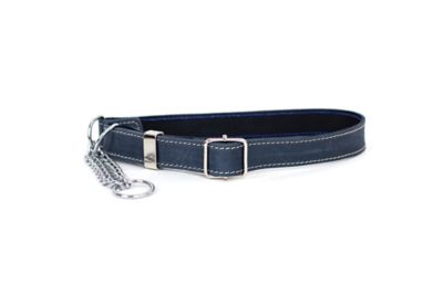 Euro Dog Martingale Leather Dog Collar