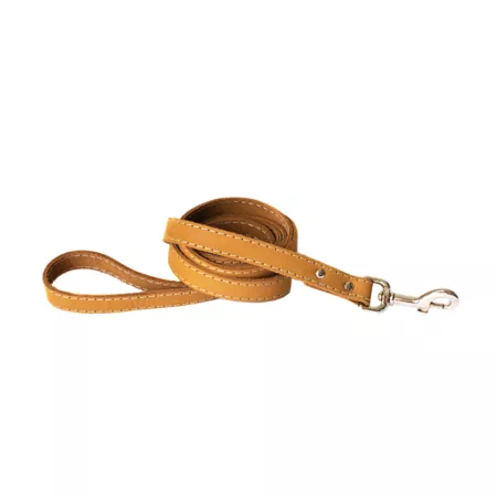 Euro Dog Traditional Stitched Leather Leash Dog Basic Collars