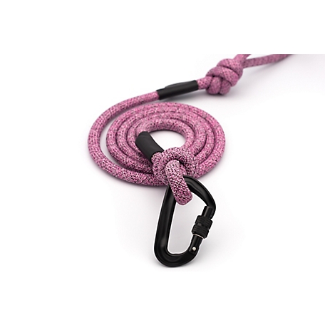 Carabiner Leash – Mountain Dog Products