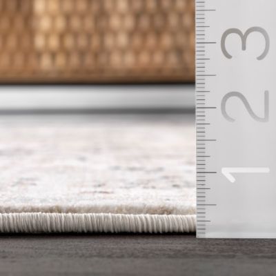 Image showing  Oliveira Floral Medallion Fringe Area Rug