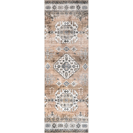 nuLOOM Evelina Traditional Stain Resistant Machine Washable Area Rug
