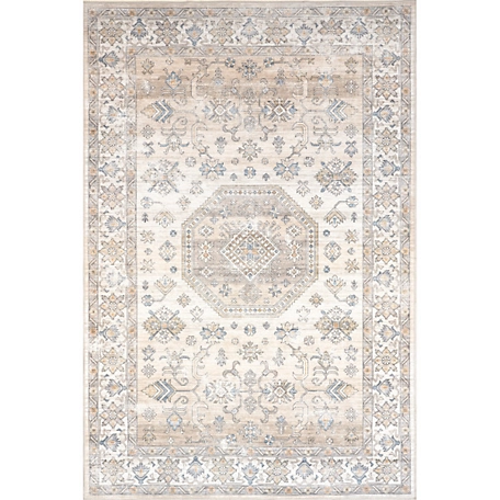 nuLOOM Darby Persian Stain Resistant Machine Washable Area Rug