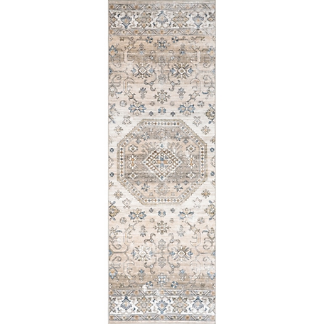 nuLOOM Darby Persian Stain Resistant Machine Washable Area Rug