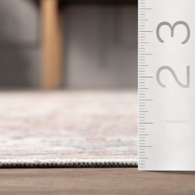 Image showing  Darby Persian Stain Resistant Machine Washable Area Rug