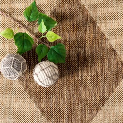 Image showing 6 th nuLOOM Sabina Diamond Trellis Indoor/Outdoor Polypropylene Area Rug