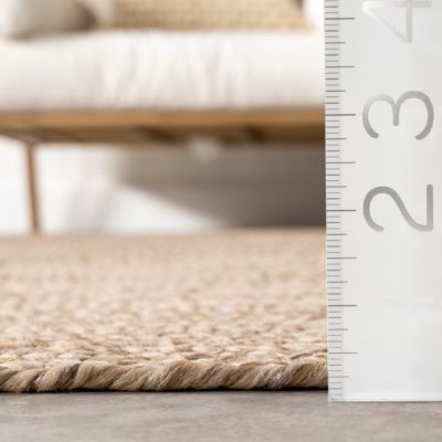 Image showing  Wynn Braided Indoor/Outdoor Area Rug