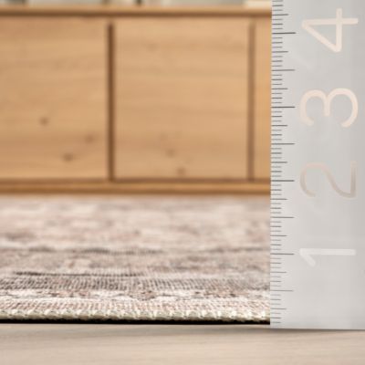 Image showing  Davi Faded Stain-Resistant Polyester Area Rug, Machine Washable