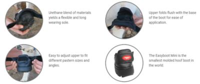 Image showing  Easyboot Mini