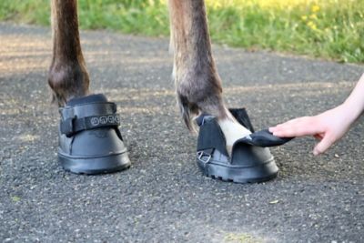 Image showing 3 th EasyCare Inc. Easyboot Sneaker, Regular