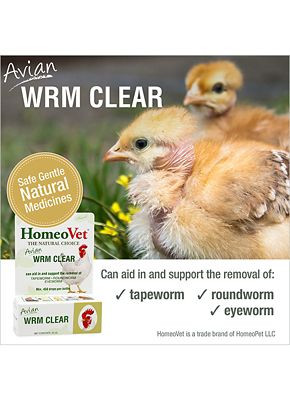 Image showing  Avian Worm Clear for Poultry and Pet Birds, 90 ct.