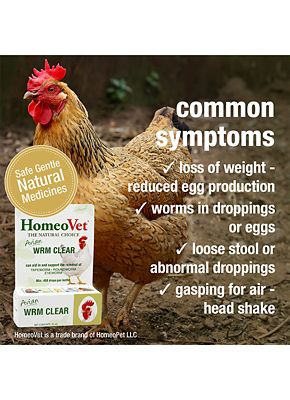 Image showing  Avian Worm Clear for Poultry and Pet Birds, 90 ct.