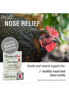 Image showing  Avian Nose Relief Medicine, 0.5 oz.