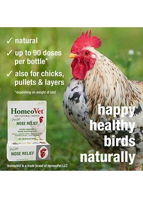 Image showing 5 th HomeoVet Avian Nose Relief Medicine, 0.5 oz.