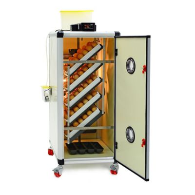 Hatching Time HB Series 175 Setter Only Full Automatic Chicken Egg Incubator