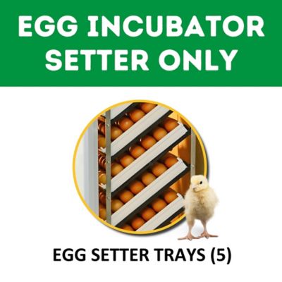 Image showing  HB Series 175 Setter Only Full Automatic Chicken Egg Incubator