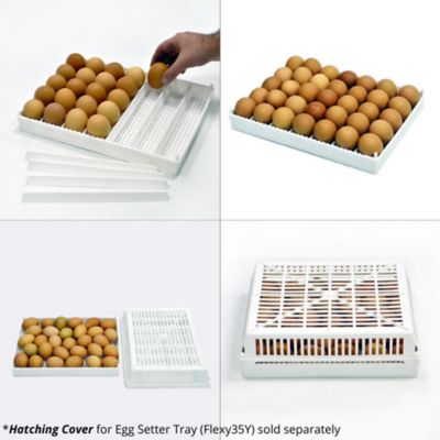 Image showing  HB Series 175 Hatcher Only Full Automatic Chicken Egg Incubator