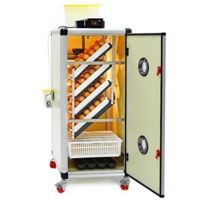 Cimuka 175 Chicken Egg Incubator (Setter & Hatcher), HB175C