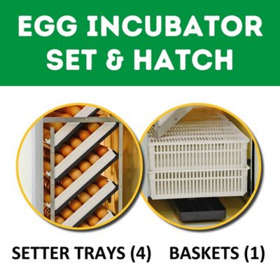 Image showing  HB Series 175 Set & Hatch Full Automatic Chicken Egg Incubator