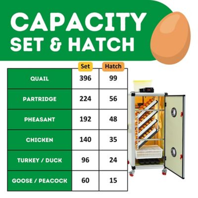Image showing 7 th Hatching Time HB Series 175 Set & Hatch Full Automatic Chicken Egg Incubator