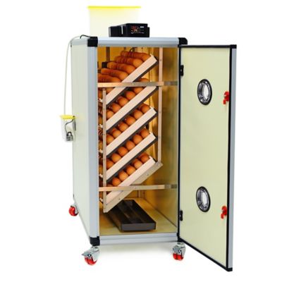 Hatching Time HB Series 350 Setter Only Full Automatic Chicken Egg Incubator
