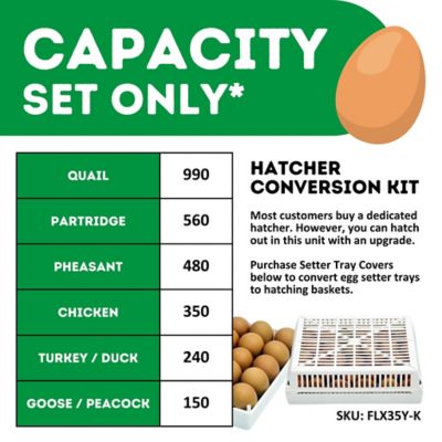Image showing 7 th Hatching Time HB Series 350 Setter Only Full Automatic Chicken Egg Incubator