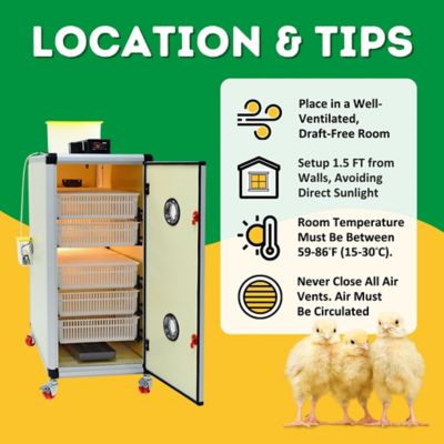 Image showing 9 th Hatching Time HB Series 350 Hatcher Only Full Automatic Chicken Egg Incubator