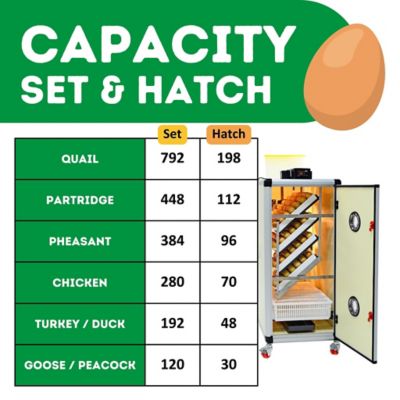 Image showing 6 th Hatching Time HB Series 350 Set & Hatch Full Automatic Chicken Egg Incubator
