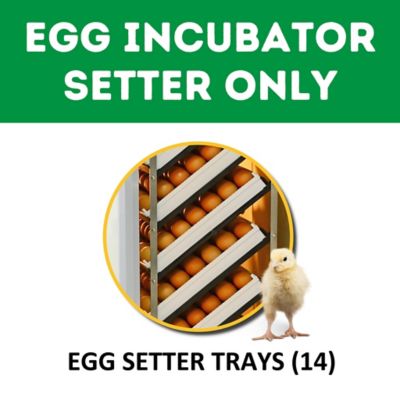 Image showing  HB Series 500 Setter Only Full Automatic Chicken Egg Incubator